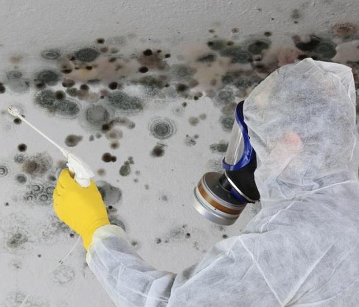 worker cleaning mold 